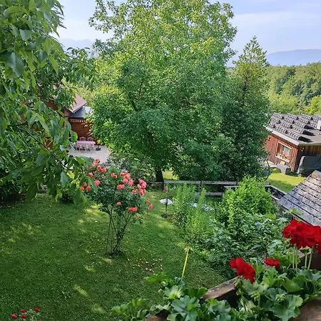Am Traunsee