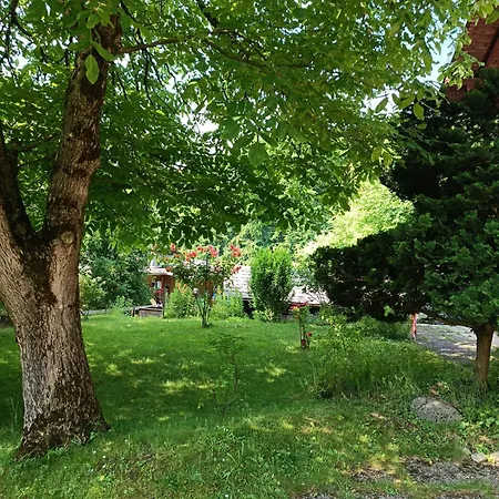 Am Traunsee 公寓 *